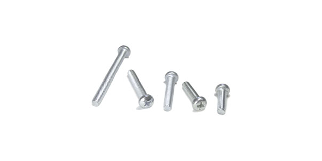 TORNILLO PHILIPS CABEZA CILINDRICA M5x25 Paquete x 10